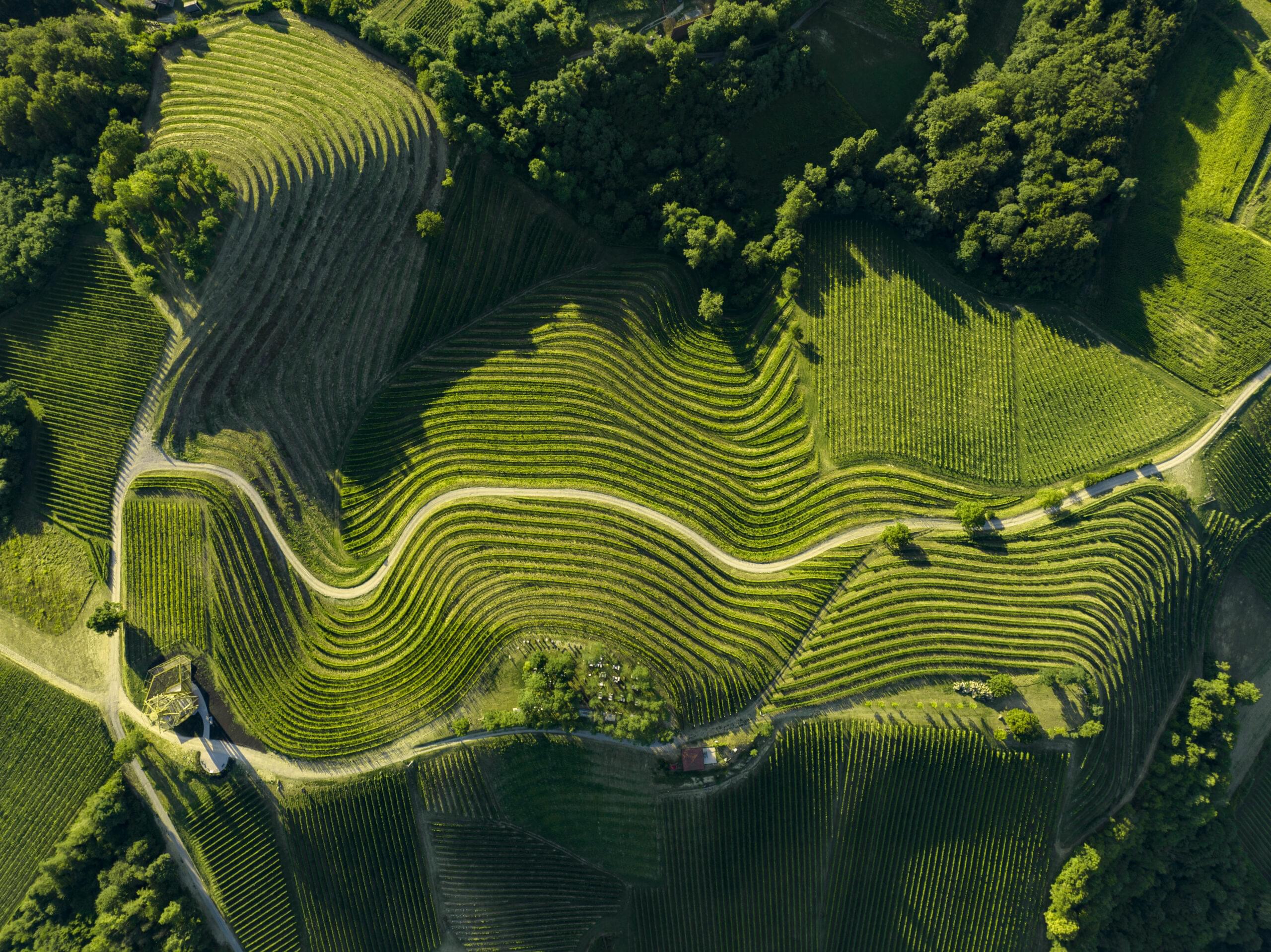 Sparkling wine fest Bregovita Hrvatska image