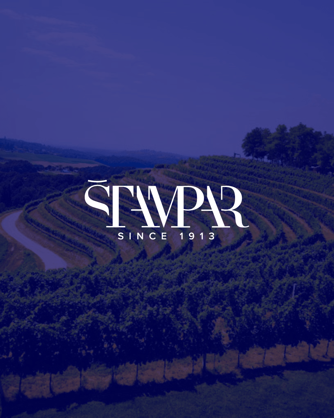 Sparkling wine fest Vinarija Štampar