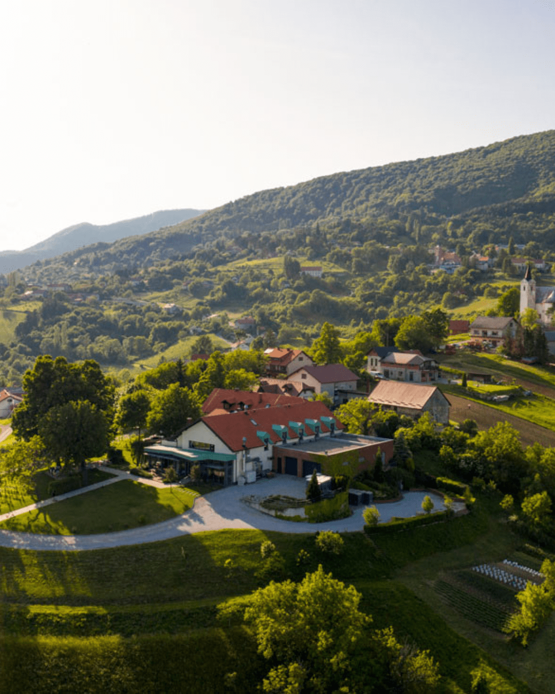 Sparkling wine fest O regiji