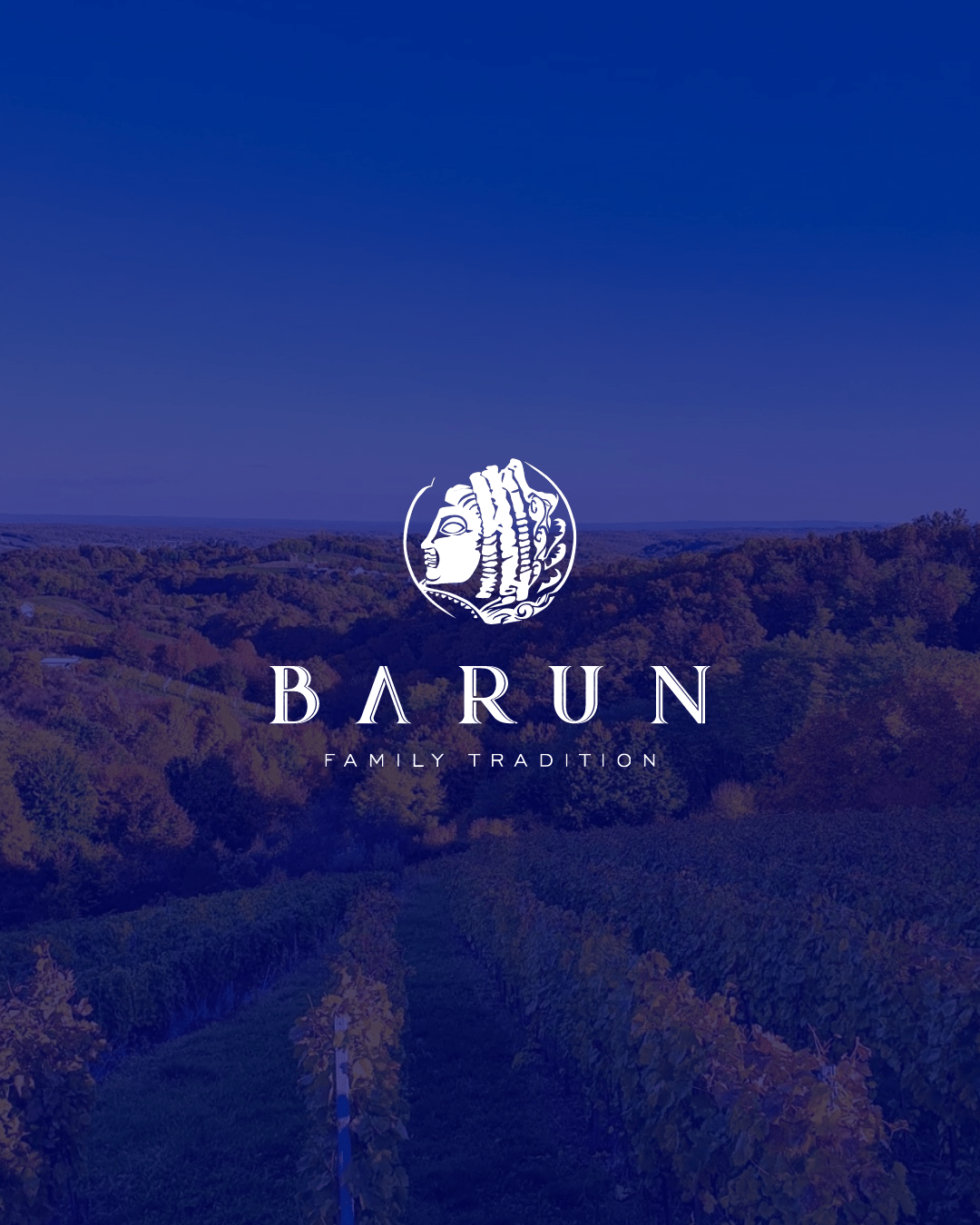 Sparkling wine fest Vinarija Barun