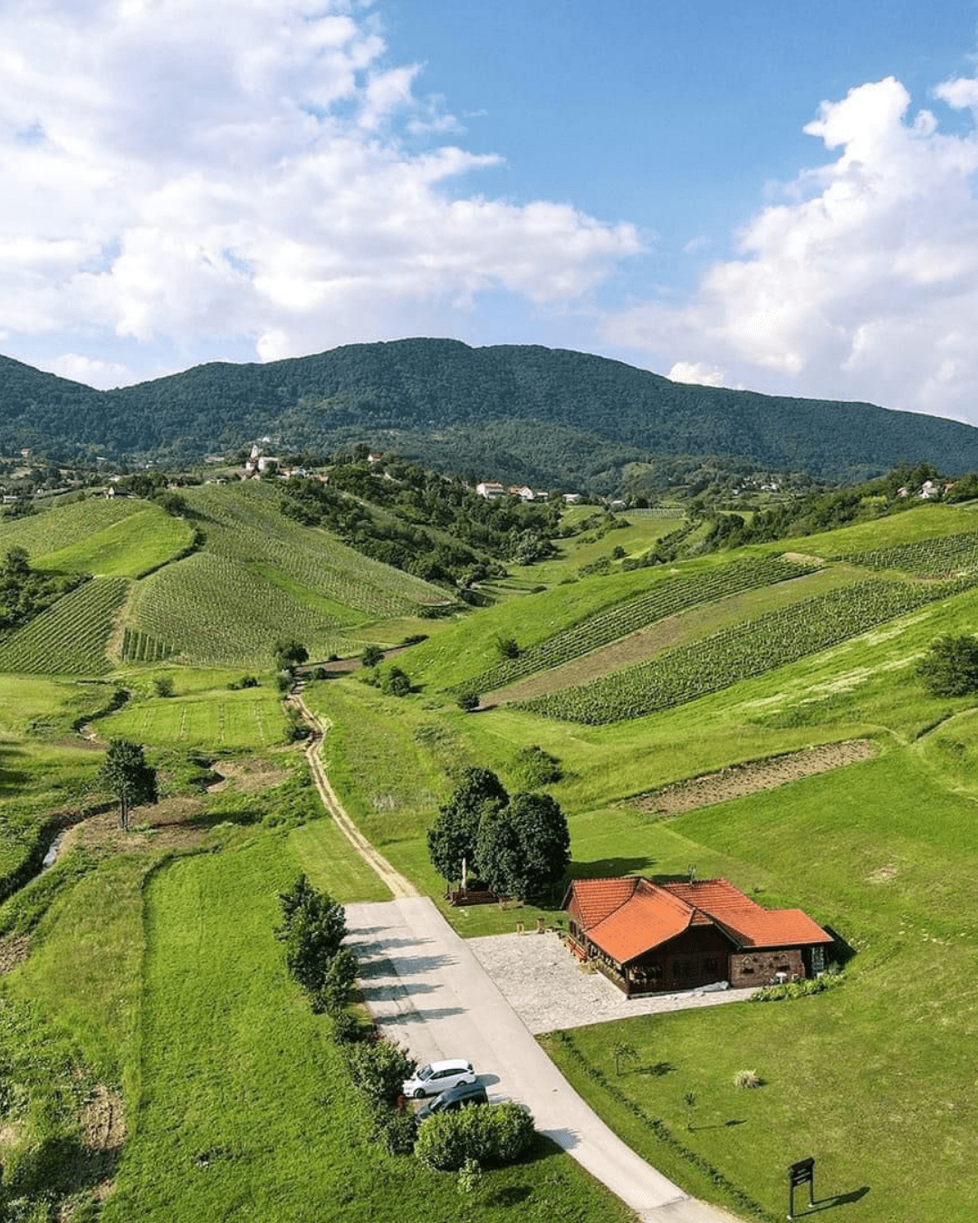 Sparkling wine fest O regiji