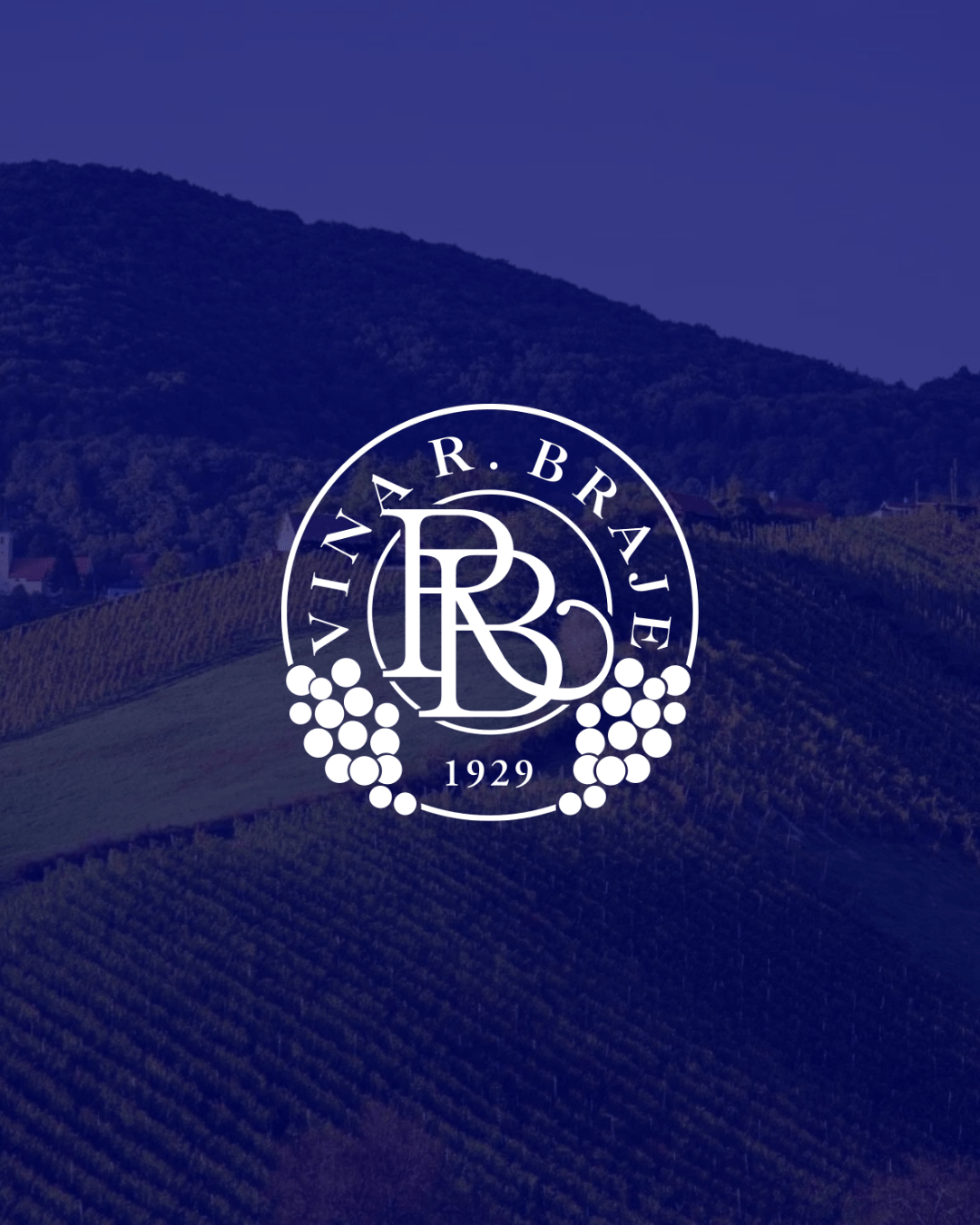 Sparkling wine fest Vinarija Braje