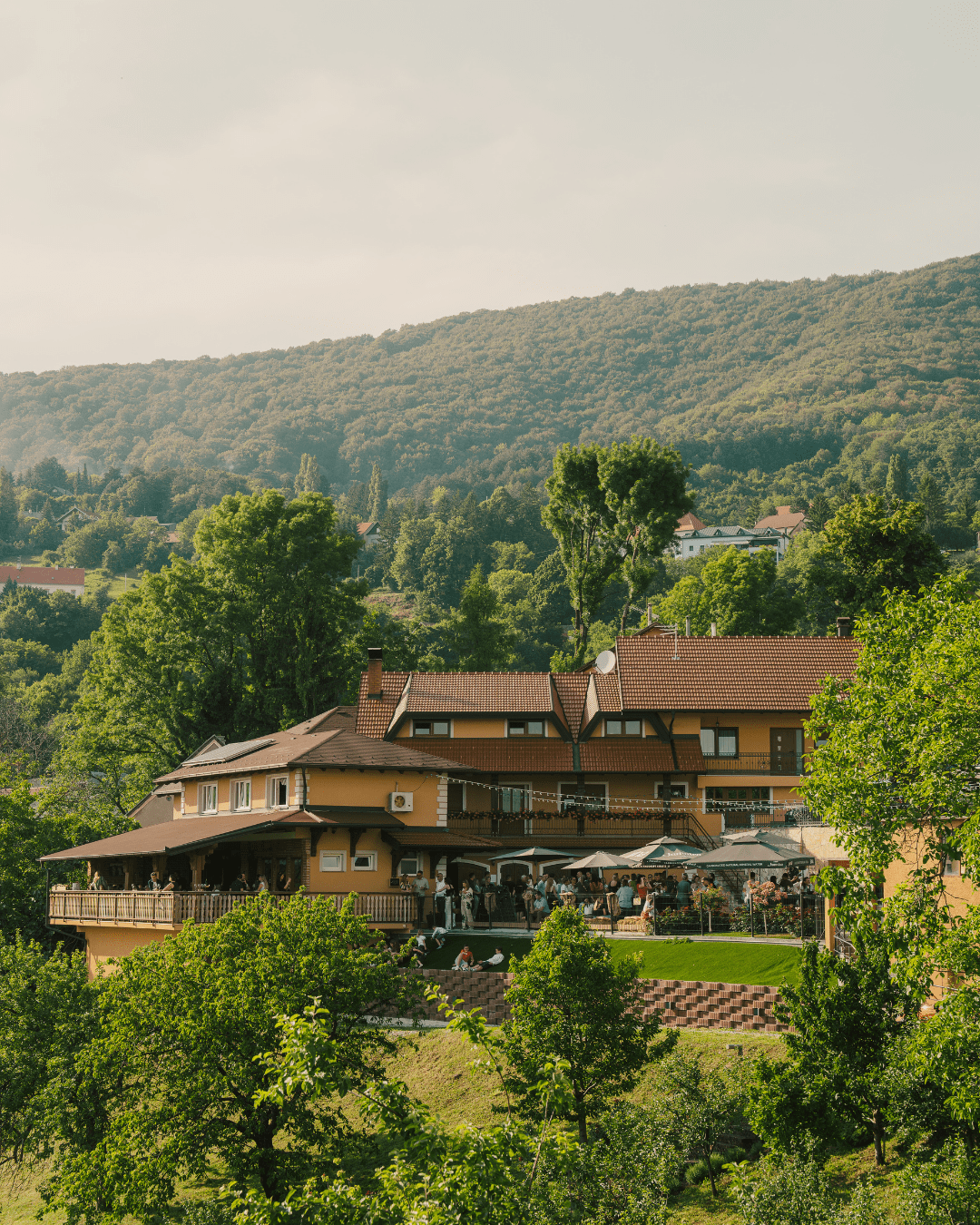 Sparkling wine fest O vinima