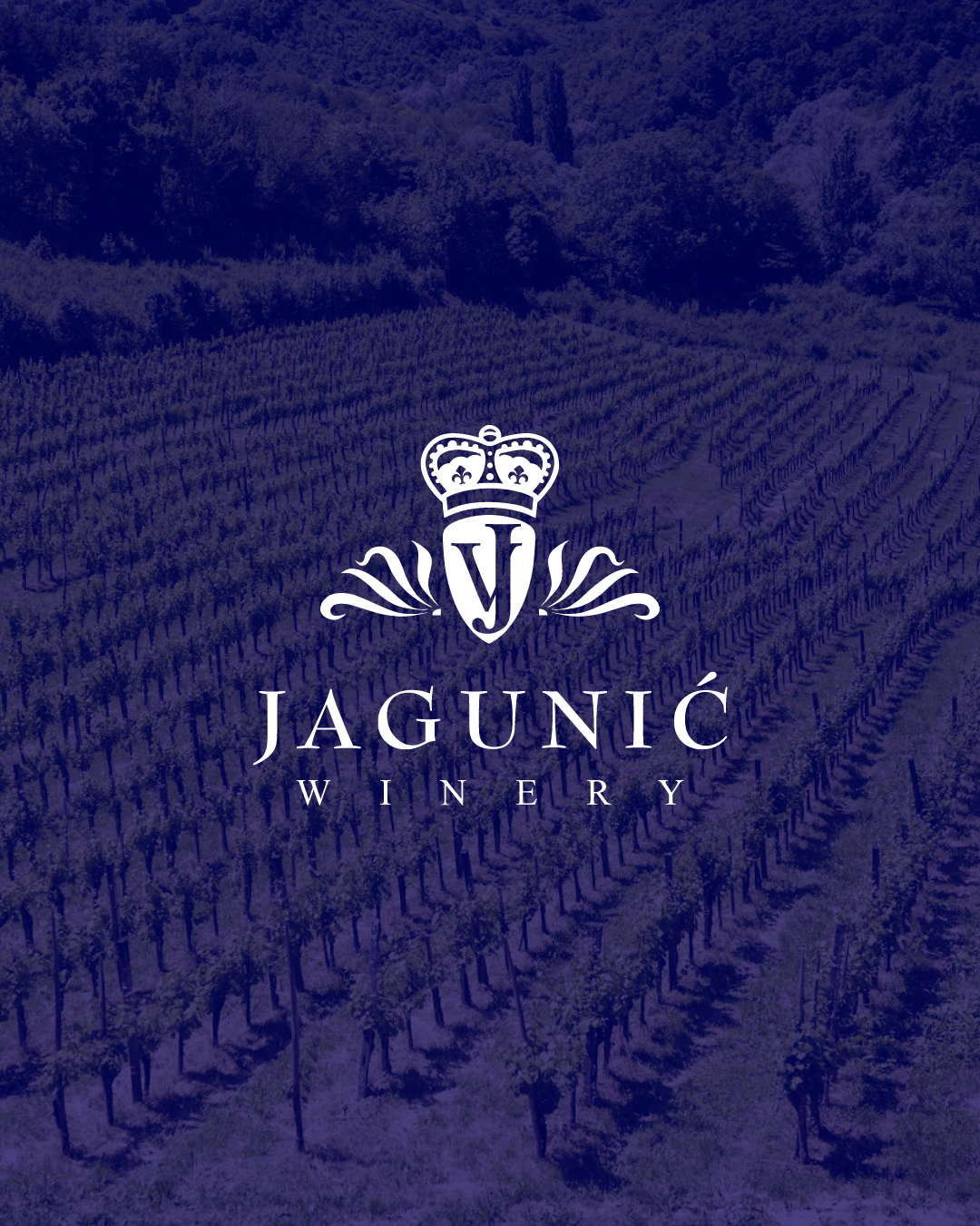 Sparkling wine fest Vinarija Jagunić