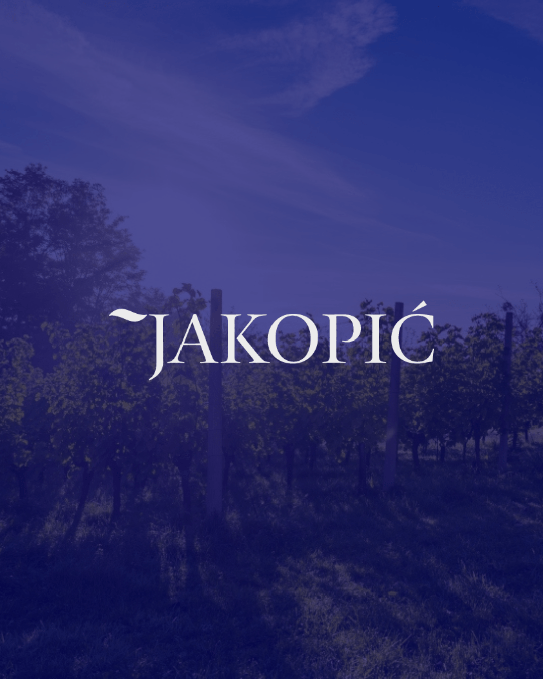 Sparkling wine fest Vinarija Jakopić