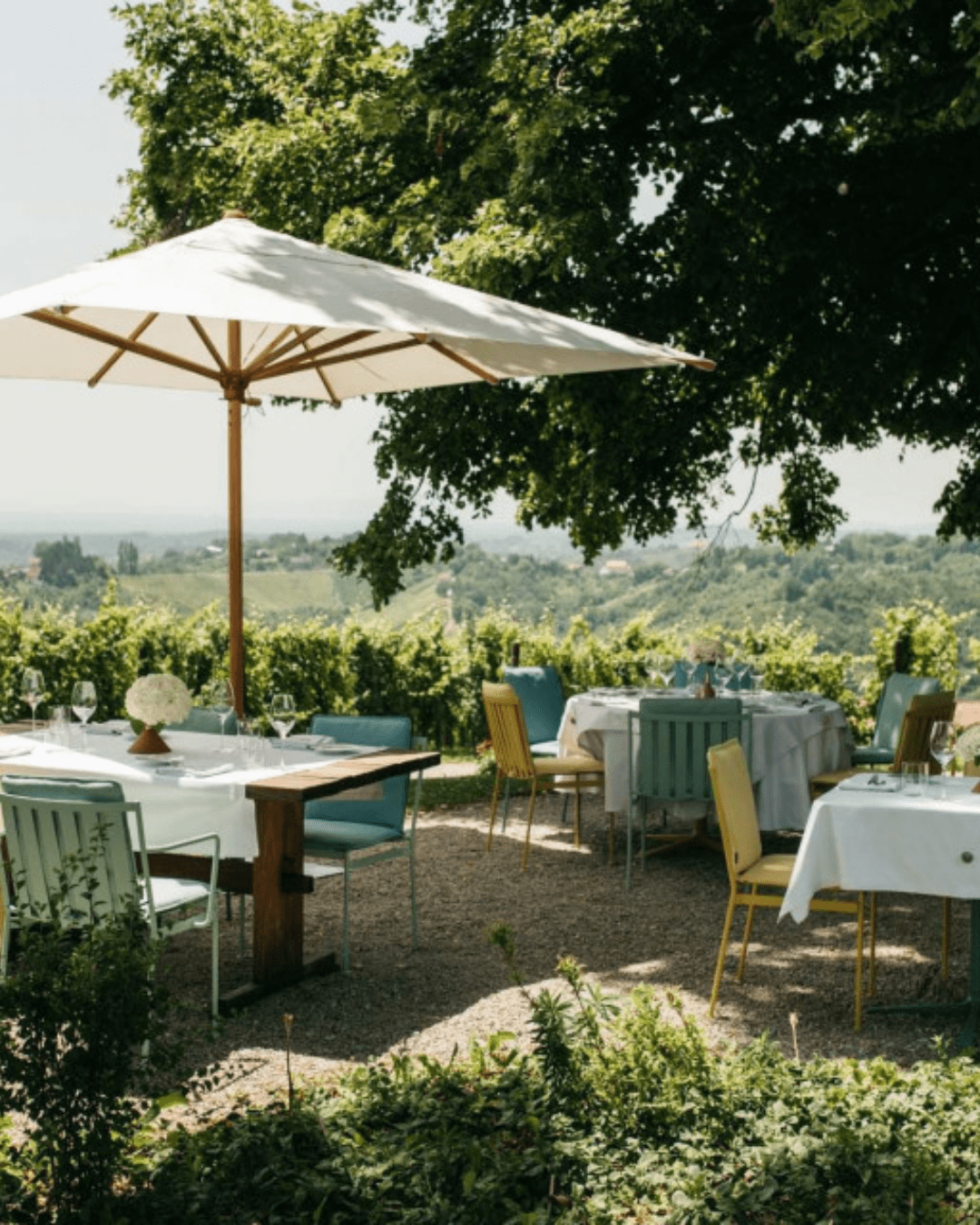 Sparkling wine fest O vinima