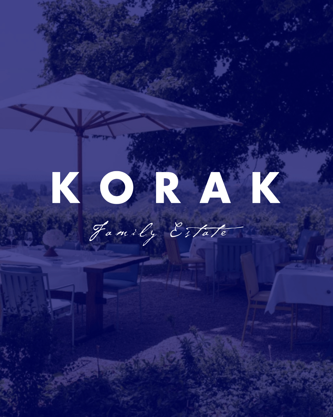 Sparkling wine fest Vinarija Korak