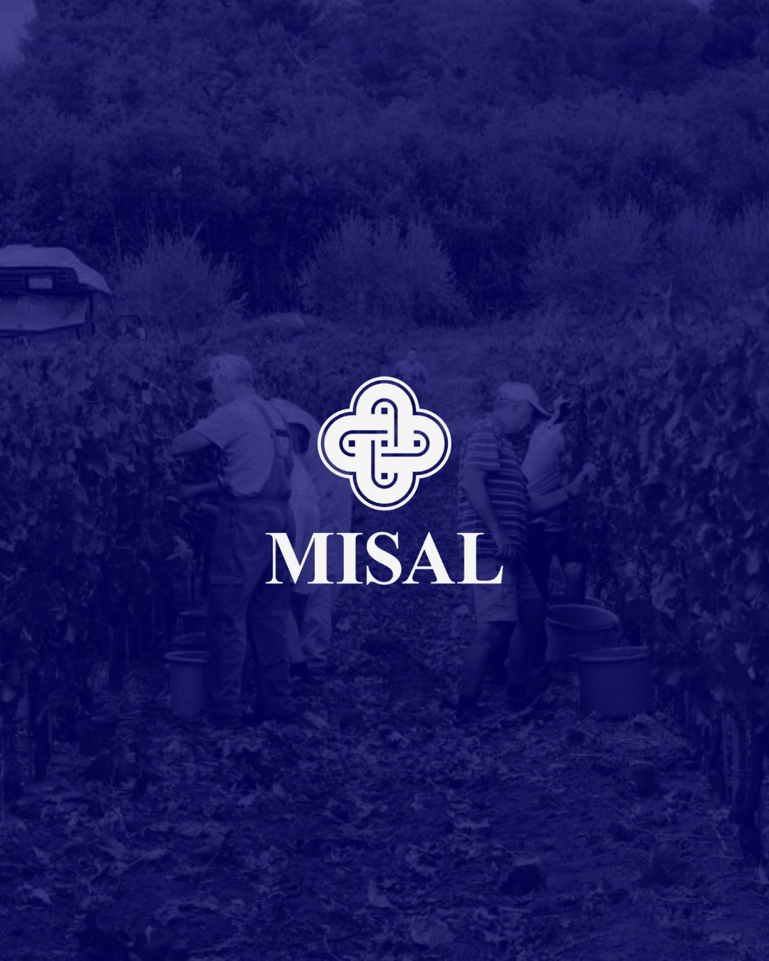 Sparkling wine fest Vinarija Misal Peršurić