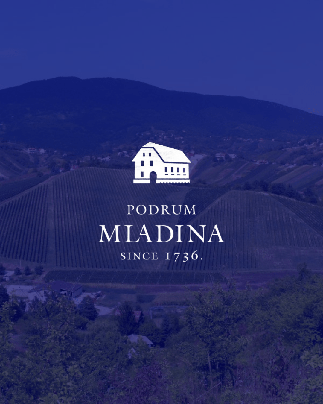 Sparkling wine fest Podrum Mladina