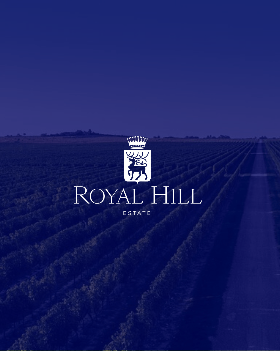 Sparkling wine fest Vinarija Royal Hill