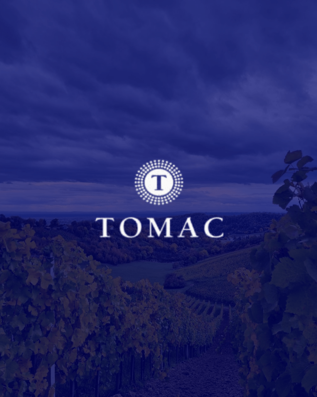 Sparkling wine fest Vinarija Tomac